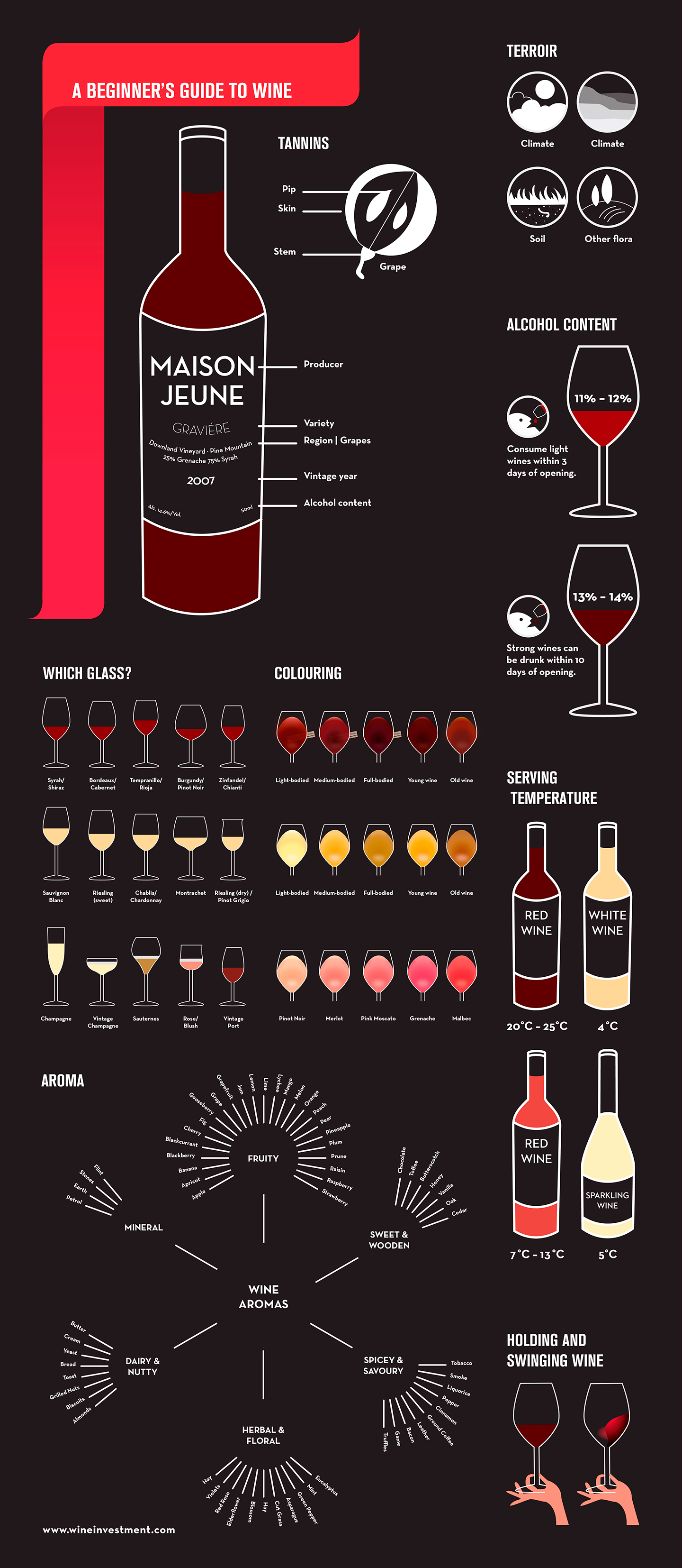 A beginners guide to wine